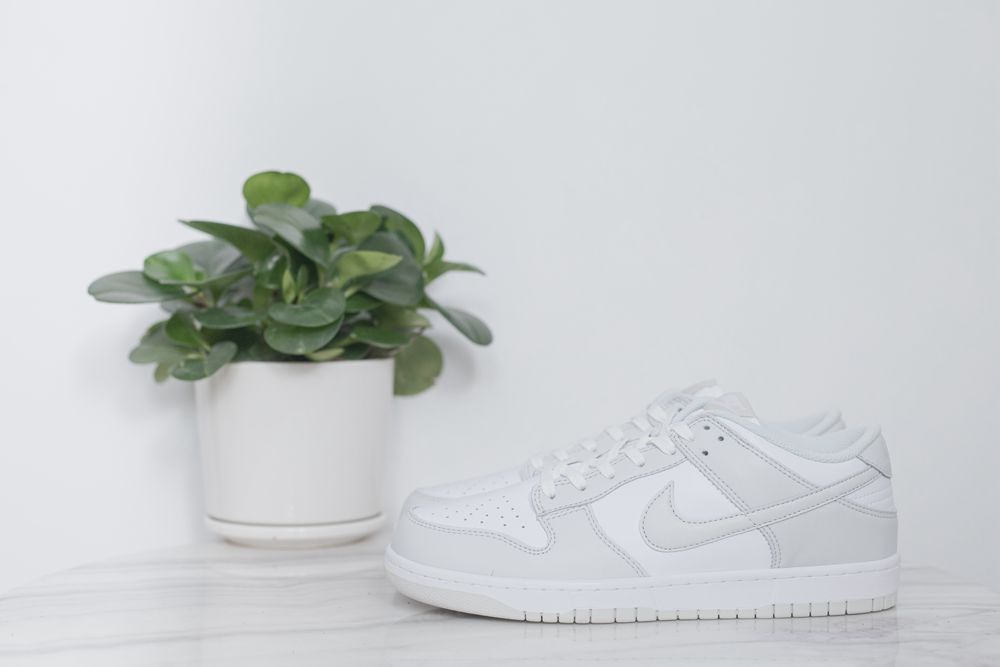 Nike Dunk grey&white